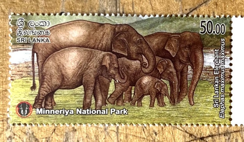 Timbres