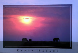 Cartes · Cartes postales Afrique