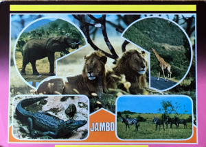 Cartes · Cartes postales Afrique