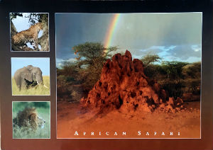 Cartes · Cartes postales Afrique