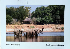 Cartes · Cartes postales Afrique