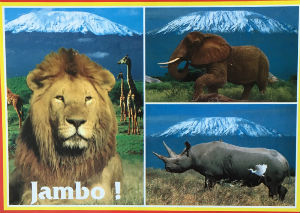 Cartes · Cartes postales Afrique