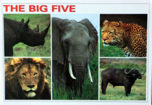 Cartes · Cartes postales Afrique