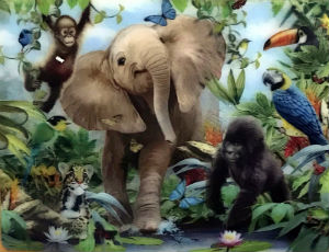 Cartes · Cartes postales Afrique