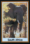 Cartes · Cartes postales Afrique