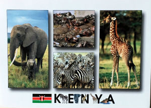 Cartes · Cartes postales Afrique