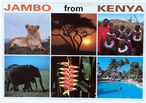 Cartes · Cartes postales Afrique