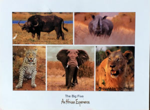 Cartes · Cartes postales Afrique