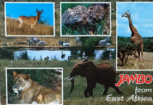 Cartes · Cartes postales Afrique