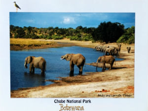 Cartes · Cartes postales Afrique