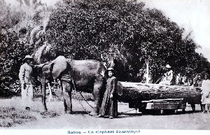Cartes · Cartes postales Afrique