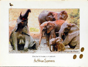Cartes · Cartes postales Afrique