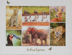 Cartes · Cartes postales Afrique