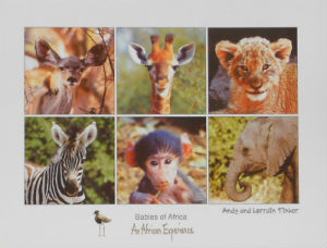 Cartes · Cartes postales Afrique