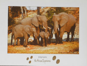 Cartes · Cartes postales Afrique