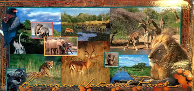 Cartes · Cartes postales Afrique