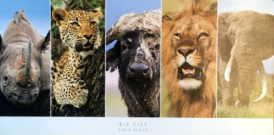 Cartes · Cartes postales Afrique
