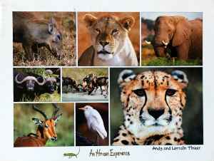Cartes · Cartes postales Afrique