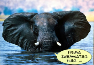 Cartes · Cartes postales Afrique