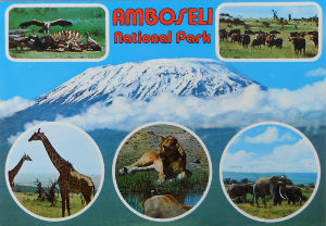 Cartes · Cartes postales Afrique
