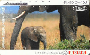 Cartes · Japon NTT