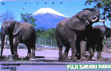 Cartes · Japon NTT