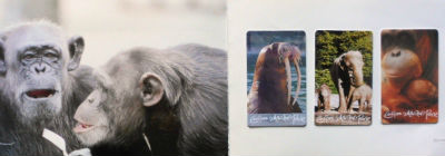 Cartes · Cartes DE Telephone - Allemagne