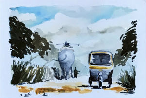 Cartes · Miniatres pour traims du zoo Hagenbeck