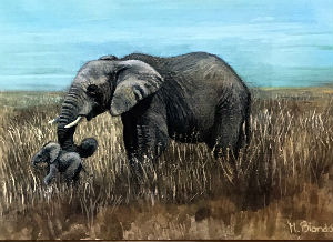 Cartes · Miniatres pour traims du zoo Hagenbeck