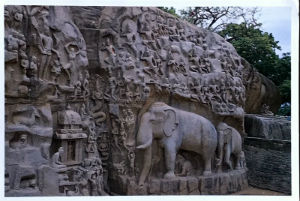 Cartes · Miniatres pour traims du zoo Hagenbeck