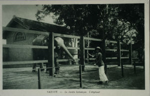 Cartes · Cartes postales Asie - Éléphants d'Asie