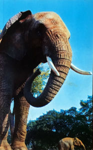 Cartes · Cartes postales Asie