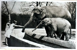 Cartes · Cartes postales Asie