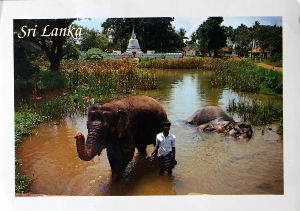 Cartes · Cartes postales Asie
