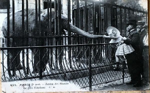 Cartes · Cartes postales Asie