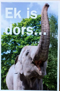 Cartes · Cartes postales Afrique