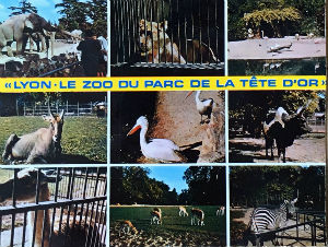 Cartes · Cartes postales Asie