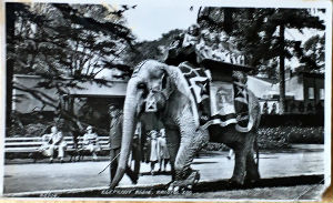 Cartes · Cartes postales Asie