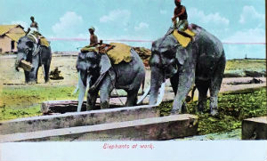 Cartes · Cartes postales Asie