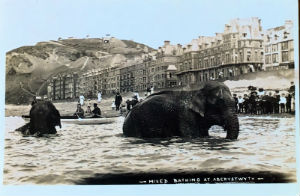 Cartes · Cartes postales Asie