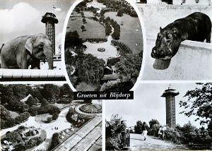 Cartes · Cartes postales Asie - Éléphants d'Asie