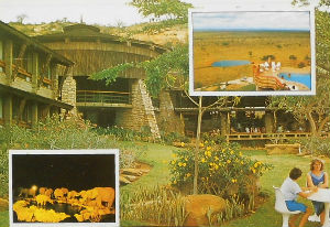 Cartes · Cartes postales Afrique