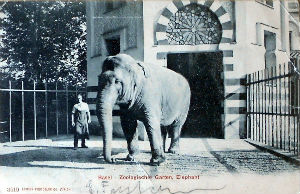 Cartes · Cartes postales - Zoos d'Europe