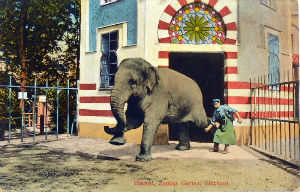 Cartes · Cartes postales - Zoos d'Europe