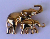 Bijoux · Broches