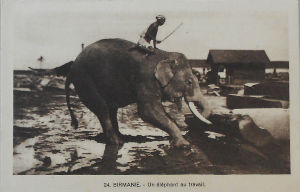 Cartes · Cartes postales Asie - Cambodge, Inde, Laos, Sri Lanka