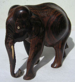 Diverses matières · Bois DE Divers Essences