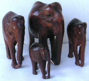 Diverses matières · Bois DE Divers Essences