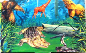 Boîtes & emballages