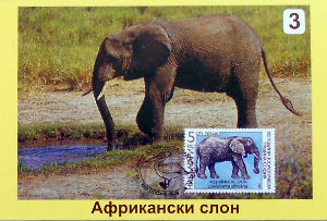 Calendriers · Bulgarie